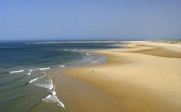 Villa Reve D'Ocean Climatisee Gujan-Mestras Luaran gambar